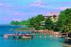 Black Parrot Suites Superior 